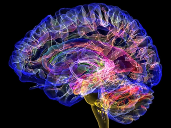 操大屄洞视频大脑植入物有助于严重头部损伤恢复